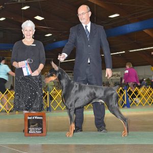 Jackin isä: Garjans Phenomenal Dream (USA)